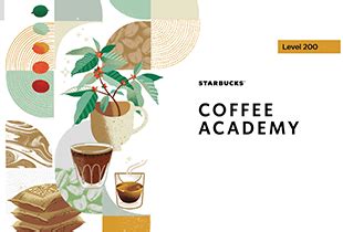 starbucks coffee academy|starbucks coffee master requirements.